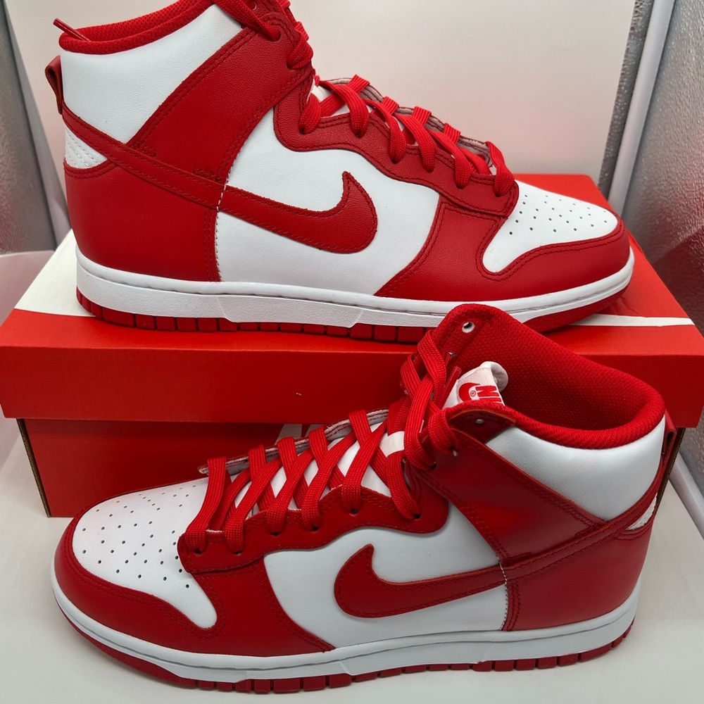 Brand new Nike air dunks